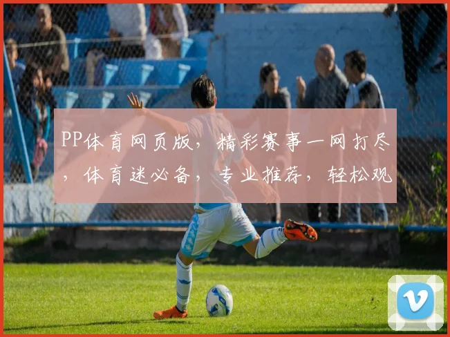 PP体育网页版，精彩赛事一网打尽，体育迷必备，专业推荐，轻松观赛，体验非凡